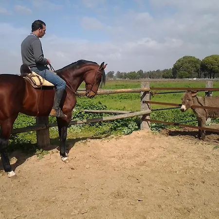 Hacienda La Indiana 3*
